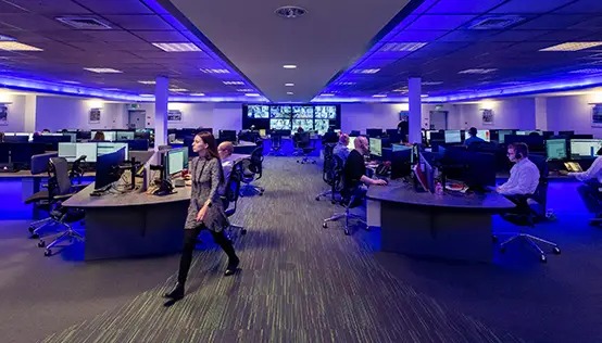 imgi_7_width_554